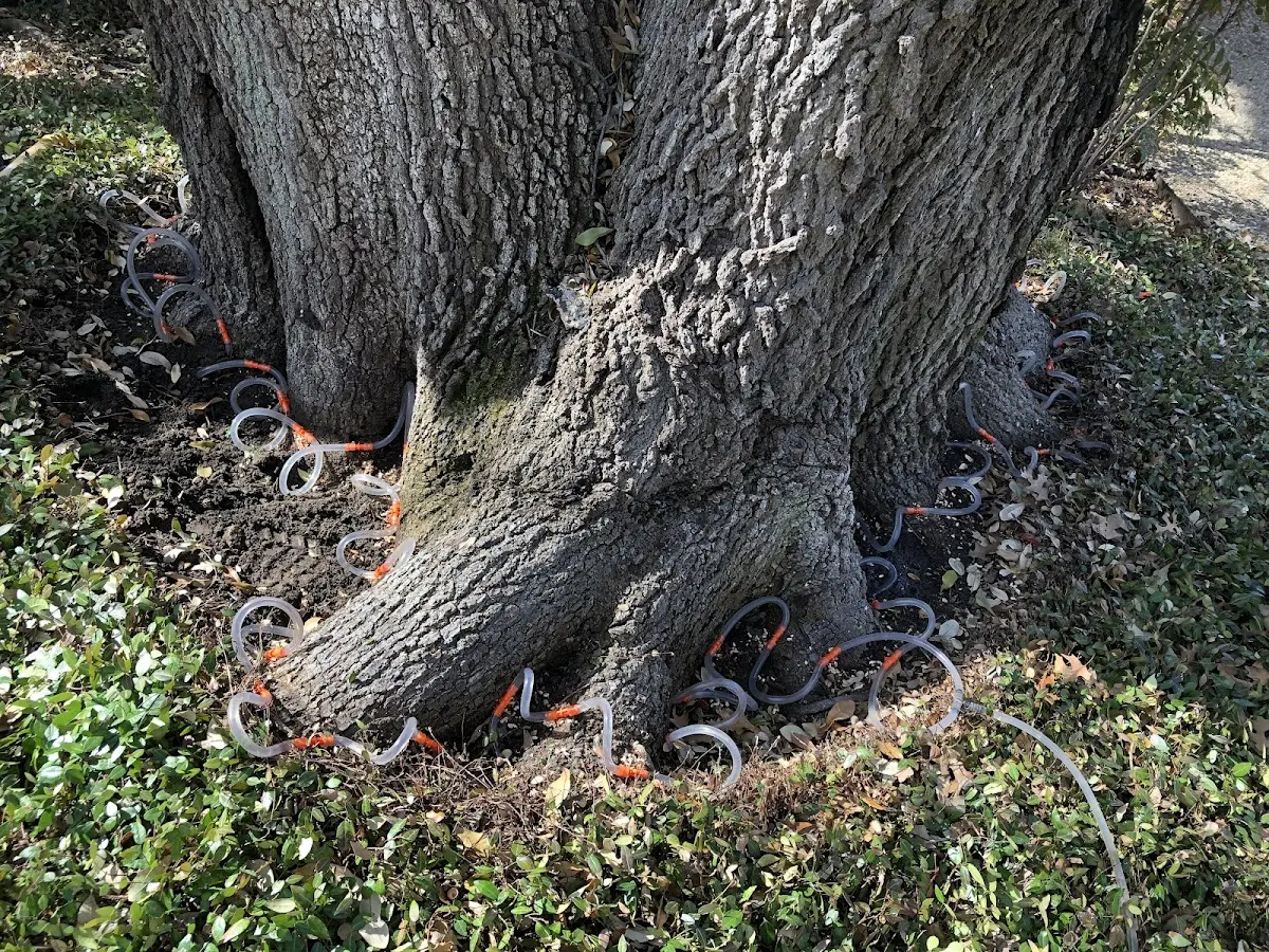 Detailed Shrub and Hedge Trimming job site in Hot Springs