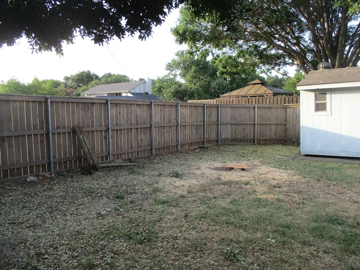 Cleared yard after professional tree removal in Hot Springs